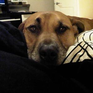 Meet your Posher, Jay